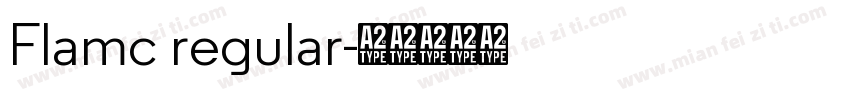 Flamc regular字体转换